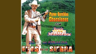 Las Tecualenas (El Compa Capi) Lyrics English Translation