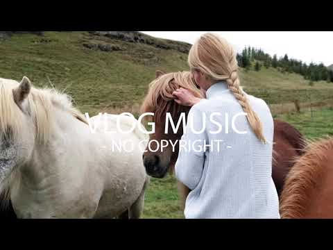 Koni ft. Evan Roman - Pony (VLOG MUSIC - No Copyright)