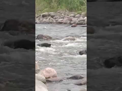 La bolsa Córdoba Argentina