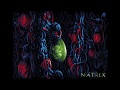 Matrix