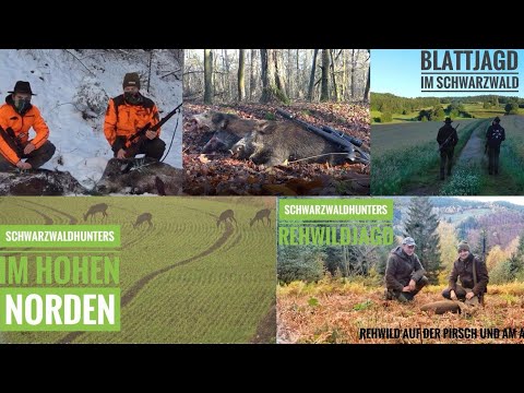 Bockjagd | Drückjagd | Jagdreise | Schwarzwaldhunters | Jahresrückblick |