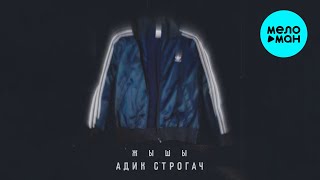 ЖЫШЫ - Адик строгач (Single 2024)