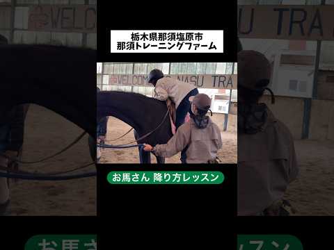 湿原乗馬草、庭の砂パイプ 植物