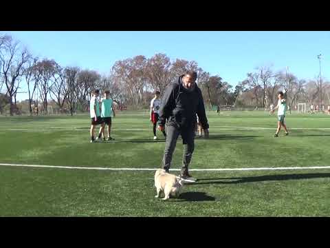 HACHAX vs ATLETICO URBANO #Apertura 2021 Fecha 9