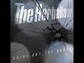 The Herbaliser feat. Rodney P & Tiece - Some Things