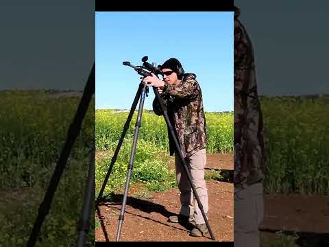 The 708 Is an Awesome Choice for Short Barreled Rifles