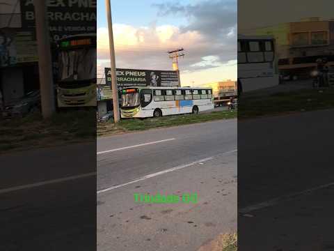 Transporte Urbano em Trindade Goiás 🇧🇷