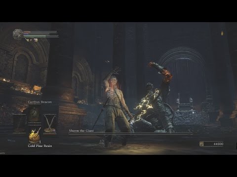Yhorm the Giant in 25 seconds (No Storm Ruler, Melee Only)