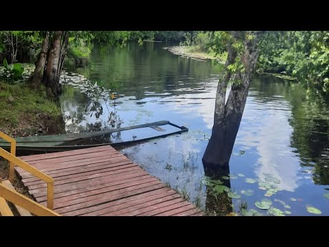 Paraíso da Sereia, Calçoene AP  , Porto Grande AP. 02 2026 