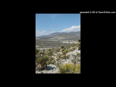 Manny Texas Ft. Krystall Poppin & GT Garza - On My Soul - Rebajada