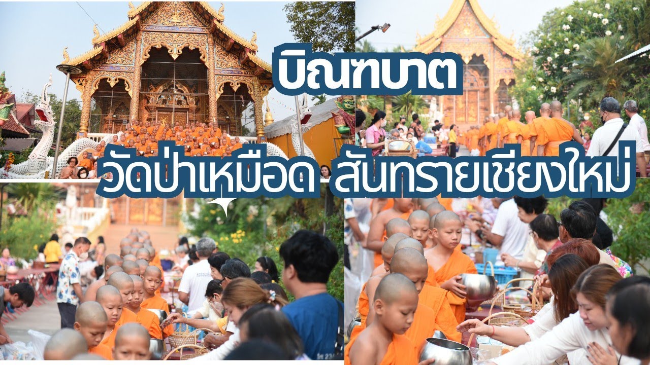 Wat Pa Mueat