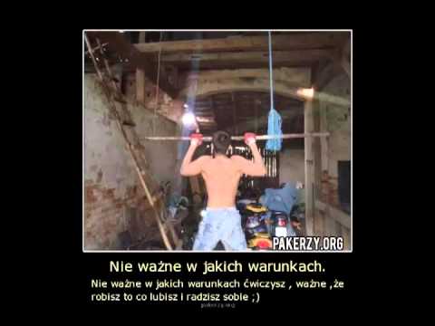 Uruchomić. bóle mięśni Mięśnie głowy psa