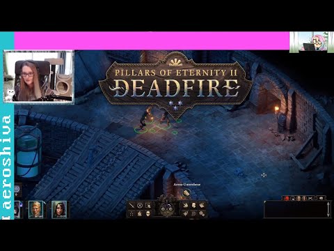 Pillars of Eternity 2 #10 Kämpfe! • Let's Play PoE2