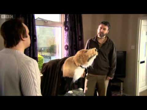 Burnistoun - Series 3, Dug with Cat Legs!