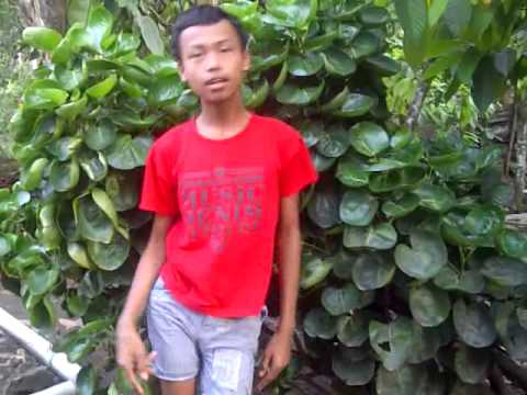 MNCTV Dangdut Awards