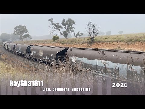 7732V - BL30-8111 (Grain) Murgheboluc - Australian Trains by Raysha1811