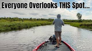 The BEST Place to Fish in the Heat of Summer (It’s Not What You Think)