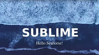 Hello Seahorse! - Sublime (Video Oficial)
