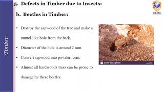L6-Timber Based Materials (Part 2)