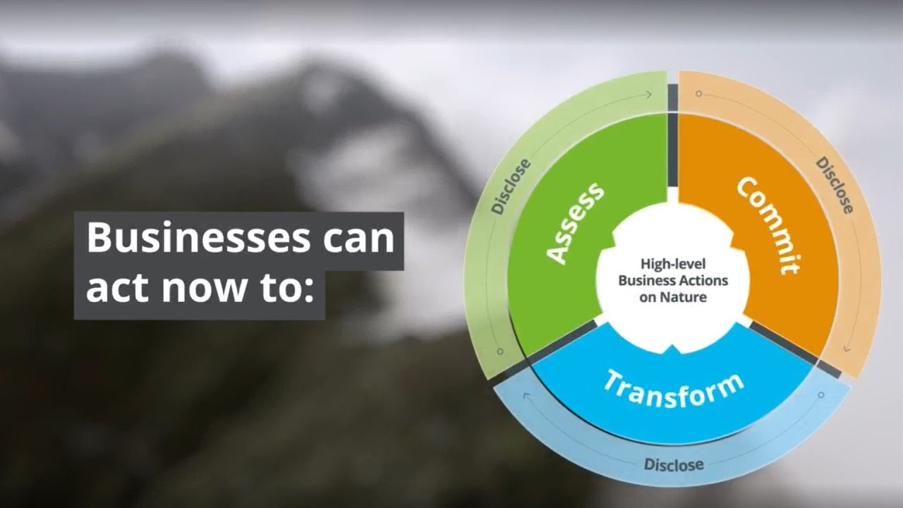 How business and finance can contribute to a nature positive future?