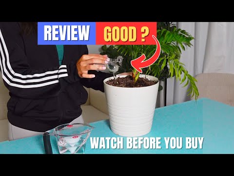 Plant Self Watering Globes