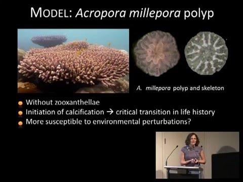 Aurelie Moya - Transcriptome of the coral Acropora millepora reveals complex responses to [...]