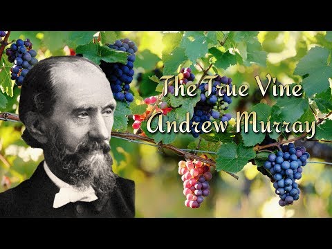 The True Vine by Andrew Murray