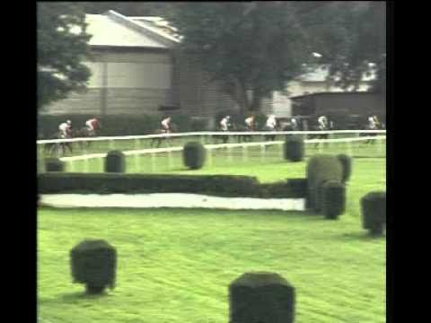 Alfkona - Veľká cena BBAG Baden-Baden, Bratislava /www.dostihyonline.sk/