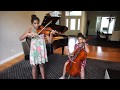 Premam Aluva Puzha Violin Cello Cover