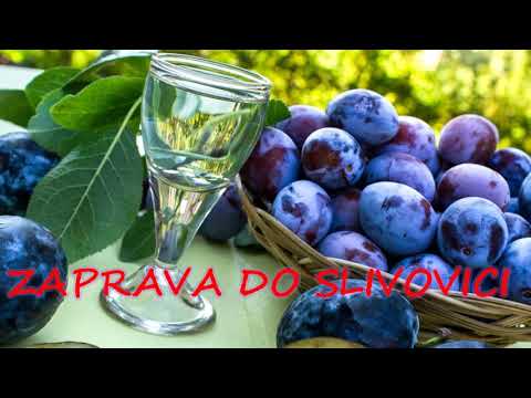 Daniel Piter-Bučko - Zaprava do slivovici /2021 (lyrics)