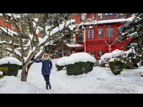 Vila Alexandra - Sinaia