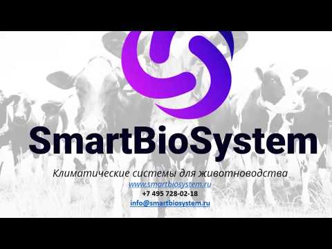 Климат в коровнике,  Освещение,  Вентиляция