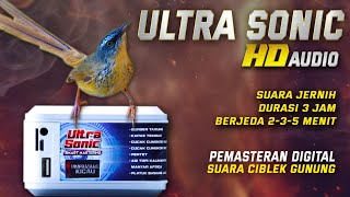 Download lagu VARIASI TEMBAKAN CIBLEK GUNUNG‼️suara jernih pemasteran digital ULTRA SONIC mp3 Download lagu VARIASI TEMBAKAN CIBLEK GUNUNG‼️suara jernih pemasteran digital ULTRA SONIC mp3