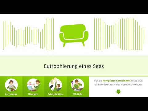 Eutrophierung eines Sees einfach erklärt | sofatutor