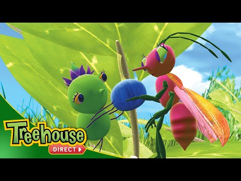 Miss Spider | Seeing Straight / Stumped! – Ep.21 - Kids TV Series, Kingdom Kids Zone - Treehouse Direct