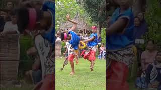 Download lagu Walaupun kecil tetap profesional # Kudho Budoyo mp3 Download lagu Walaupun kecil tetap profesional # Kudho Budoyo mp3