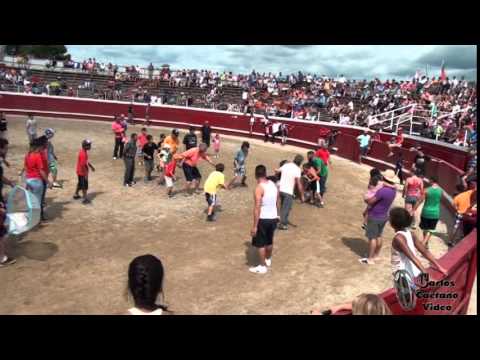 Tourada no Picnic  da Nelia Pedro 2015