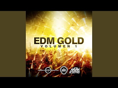 I Can't Hold It (feat. GrooveSuckers) (Charly H. Fox Remix)