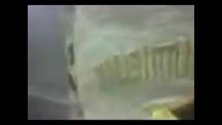 Valentin Elizalde 3gp autopsia