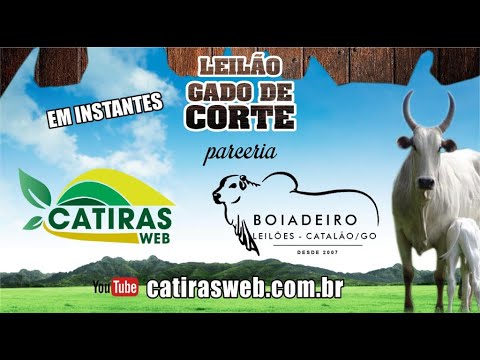 LEILÃO AO VIVO BOIADEIRO LEILÕES - CATALÃO - GO - 30 DE MARÇO DE 2026.