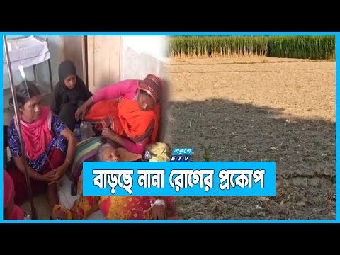 তীব্র তাপদাহে হুমকির মুখে উত্তরাঞ্চলে আমনের আবাদ