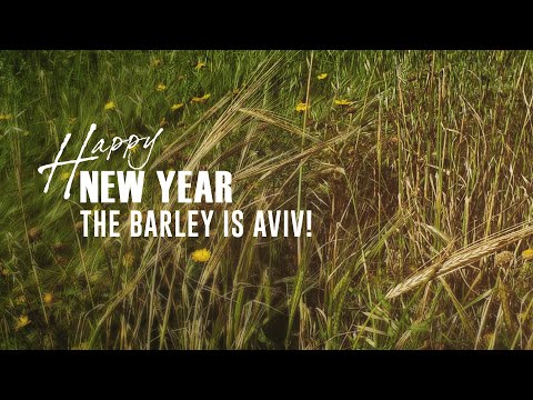 Happy Biblical New Year