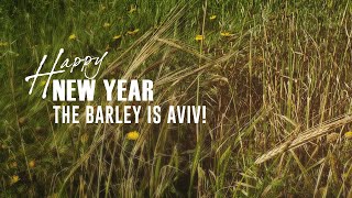 Happy (Biblical) New Year!