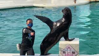 野柳海洋世界