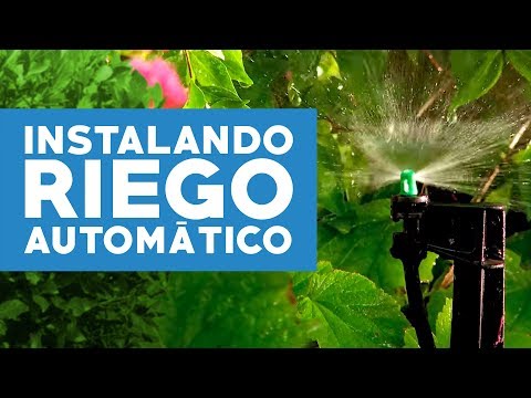 ¿Cómo instalar riego automático en el jardín?