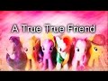 My little pony "A True True Friends" (Toys version ...