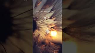 Download lagu Cinta terlarang #liriklagu #lirikestetik #foryou #sad #storywa #musicindonesia mp3