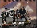 Los Lobos 'Bertha' live 1997 Furthur Festival concert performance