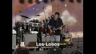 Los Lobos &#39;Bertha&#39; live 1997 Furthur Festival concert performance