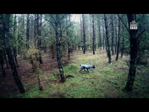 Darz Bór zapowiedź odcinka 129